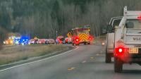 Motorcyclist hospitalized after hitting bear in eastern Idaho
