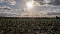 El Niño is getting stronger: WMO warns of record-breaking heat and global weather disruption