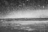 Weather: Brace for rain and thundershowers on Friday