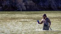 Destructive invasive species has entered Utah portion of Colorado River