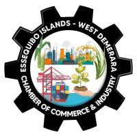 Region Three Chamber appoints Khaimwatie Seenarine as Assistant Secretary-Treasurer