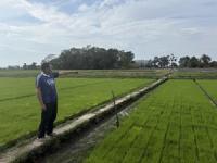CNH equipment helps Thai rice farmer replace stubble burning