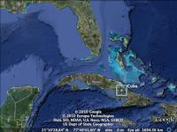 ICE Seizes 90 Biodiesel Shipments Worth $2.8M Allegedly Bound for Cuba