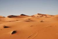 A ‘Shark Graveyard’ in Egypt’s Desert Reveals a Lost Cretaceous Sea