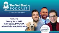 <![CDATA[Advanced Modalities in Wound Management: Evidence-Based Strategies Through the 4 Stages of Wound Repair From Fetch Kansas City]]>
