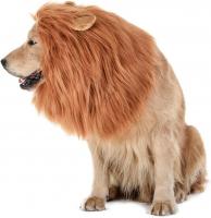 Pet Owners Embrace Louisiana Themes For Halloween Costumes