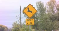 Minnesota State Patrol warns drivers as deer activity increases
