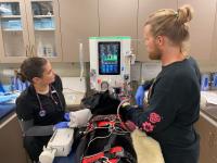 <![CDATA[Texas A&M uses hemoperfusion to treat dog after oclacitinib overdose]]>