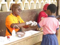 Distinct Malaria Parasites "Hidden in Plain Sight" May Contribute to Human Disease Protection