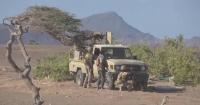 Houthis claim repelling government advance as Saudi-led coalition says 82 Houthi military targets destroyed