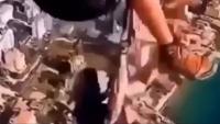 Horror moment tourist slips out of harness on tandem paragliding flight & plunges to his death