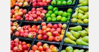 Belarus cuts wholesale apple prices by up to €0.05 per kg