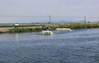 As Ecuador’s shrimp industry grows, ProEcuador working to find end markets