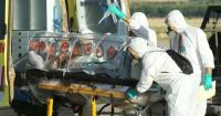 Ebola in the DRC: over 1,900 children orphaned or separated from their families