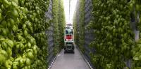 Why ‘vertical farming’ is not a fix for our food system