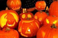 Farm near small East Sussex village has one of the UK’s top five pumpkin patches with free entry, according to new research