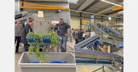 German fresh-cut processor adds 7,000 kg of daily lettuce processing capacity