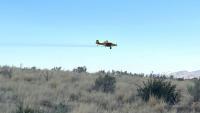 BLM herbicide treatments in SW Idaho target invasives