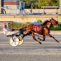 Salty Beaches wins third straight race at Harrington Raceway
