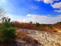 The Biggest Unsolved New Jersey Mystery is From Atlantic County