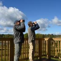 DEC and Montezuma Audubon Center Celebrate Opening of Improved Accessible Wildlife Observation Platform