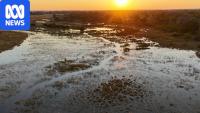 Botswana's UNESCO wetlands offer lessons for Australia