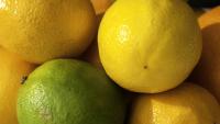 South Africa eyes trade growth in Middle East as farm exports reach US$1.3B