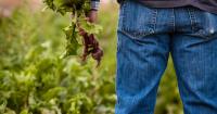 Pesticides Threaten Farmers' Mental Health