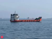 Conflicts in West Asia and Persian Gulf claimed 11 Indian seafarers' lives: Government