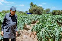 Nigeria Targets Food Sovereignty, Adopts Ethiopia’s Agribusiness Model — Shettima