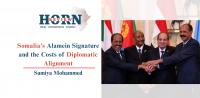Somalia’s Alamein Signature and the Costs of Diplomatic Alignment
