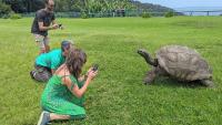 Jonathan the tortoise, the world’s oldest living land animal