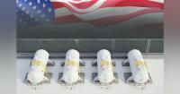 Chilling in the USA: LNG Securing Strong Long-Term Position in C&I Energy Transition