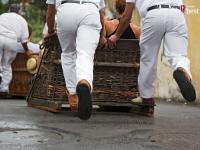 British tourists “seriously hurt” as wicker toboggan crashes in Madeira