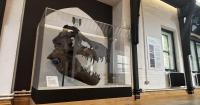 Unique T-Rex installed in Oxford University college's dining hall