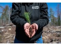 Forests Canada and U-Haul Partner to Support Healthy, Resilient Forests Across Canada