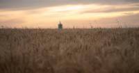 Mid-year report puts Canadian farmland values up 3.8 per cent in first half of 2026