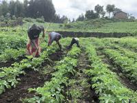 Rwanda is Testing Digital Platform to Get Small Farmers Loans in 48 Hours