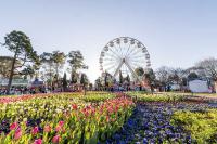 Hello weekend plans! Here are 90+ things to do in Canberra