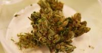 Who’s funding the effort to repeal legal recreational weed? It might not be who you think.