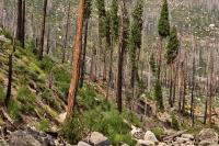 Human Remains Found Southeast Of Idaho Border Being Examined
