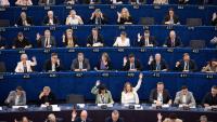 Muslim NGOs Cry Islamophobia as EU Parliament Targets Muslim Brotherhood Networks