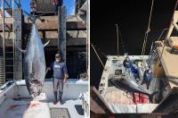 1,116-Pound Bluefin Tuna Caught Off New Hampshire Would Have Been a Record Except for This One Technicality
