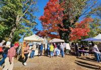 Music, Vendors, Food & Fun At Fall Arts Festival Saturday in Lawrenceville, NJ
