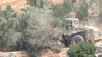 Israeli settlers systematically target the Palestinian olive harvest