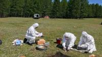 Russia Tells WHO No Plague Was Found After Siberian Lab Worker's Death, but the Cause Remains Unconfirmed