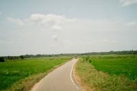 Sri Lanka Police Identified 732 Dangerous Roads. Which Were Fixed?