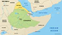 ‘Regional proxy contest’: What’s fuelling Ethiopia-Eritrea tensions?