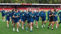 ‘It's a movie script ready to be written’: Michael McArdle believes Netflix should be on standby if NI qualify for World Cup