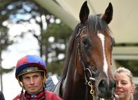Mouthwatering Cesarewitch Meet In Store; Darkness Falls, Desert Castle And Musical Times Head All-Star Cast